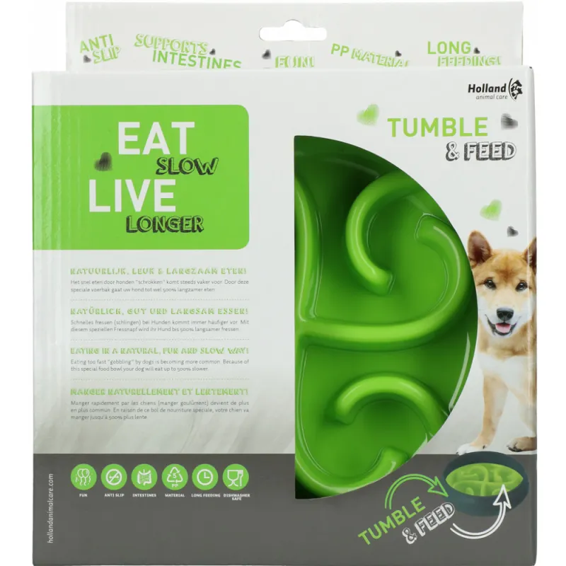 Bol alimentaire lent, parfait pour les chiens gloutons, accessoire essentiel pour animaux