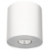 POINT WHITE M 6001 spot de plafond