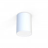 Plafonnier blanc CAMERON WHITE 30 cm 9685