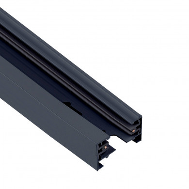 Rail PROFILE TRACK 2 m