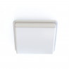 TAHOE II plafonnier/applique de salle de bain avec détecteur de mouvement 25 cm 2xE27 | blanc 10040