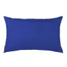 Bleuet
