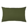Vert foncé