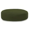 Vert foncé