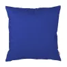 Bleuet