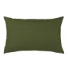 Vert foncé