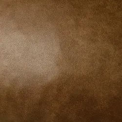 Coussin décoratif élégant en cuir naturel pour une décoration raffinée