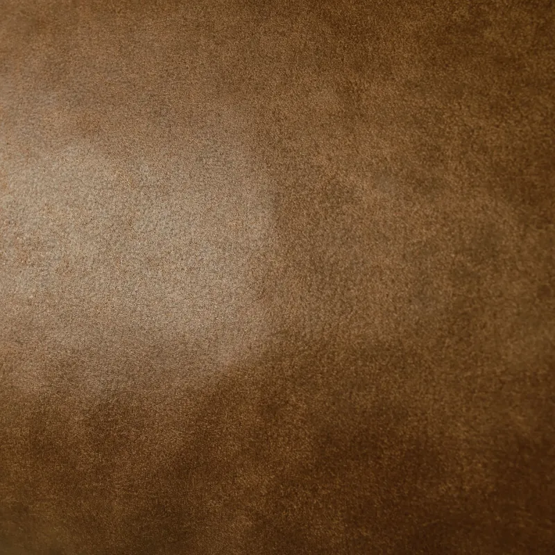 Coussin décoratif élégant en cuir naturel pour une décoration raffinée