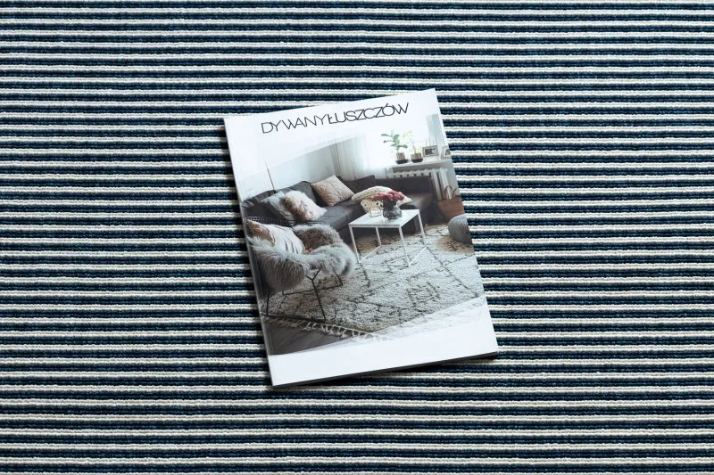 Tapis SPRING 20411994 Lignes, cadre à boucles - bleu