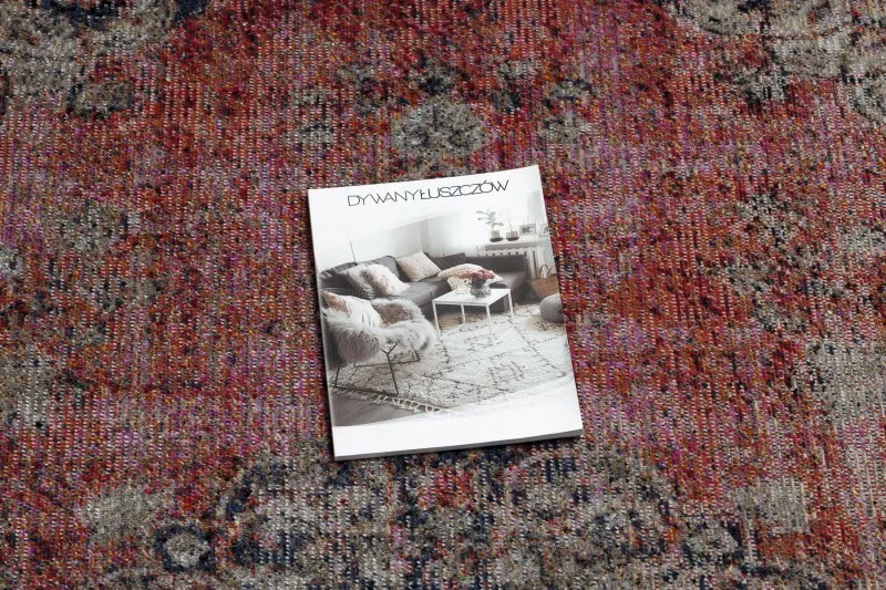 Tapis moderne MUNDO E0691 ornement, vintage extérieur rouge / beige