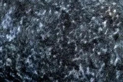 Tapis lavable ANDRE 1058 Ornement, vintage antidérapant - noir et bleu