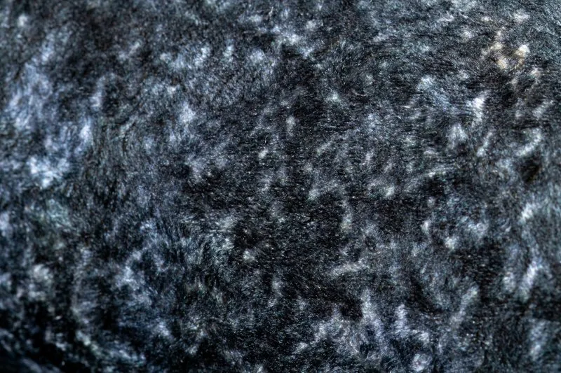 Tapis lavable ANDRE 1058 Ornement, vintage antidérapant - noir et bleu