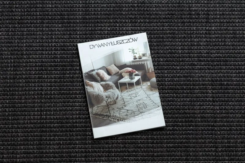 Tapis TIMO 5979 SISAL extérieur cadre noir