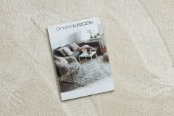 Tapis de lavage moderne LINDO crème, antidérapant, shaggy