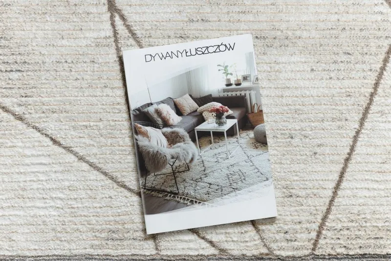 Dywan BLISS Z201AZ128 krem / beż - Ramka, geometryczny, nowoczesny, strukturalny 