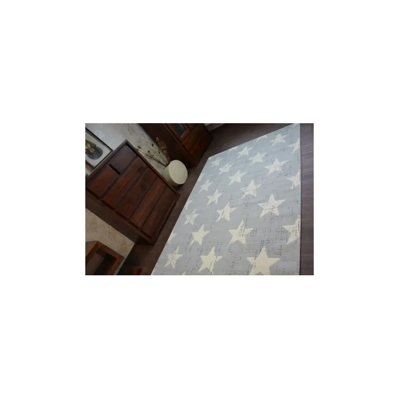 Tapis SCANDI 18209/052, parfait pour un design d'intérieur moderne et décoratif