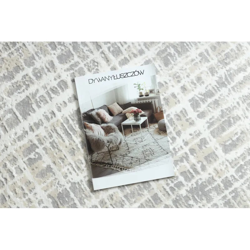 Ajout élégant pour la décoration intérieure, tapis moderne crème et gris