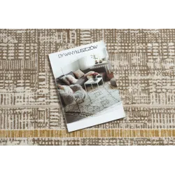 Tapis élégant DUKE 51523 beige et or, parfait pour des intérieurs modernes