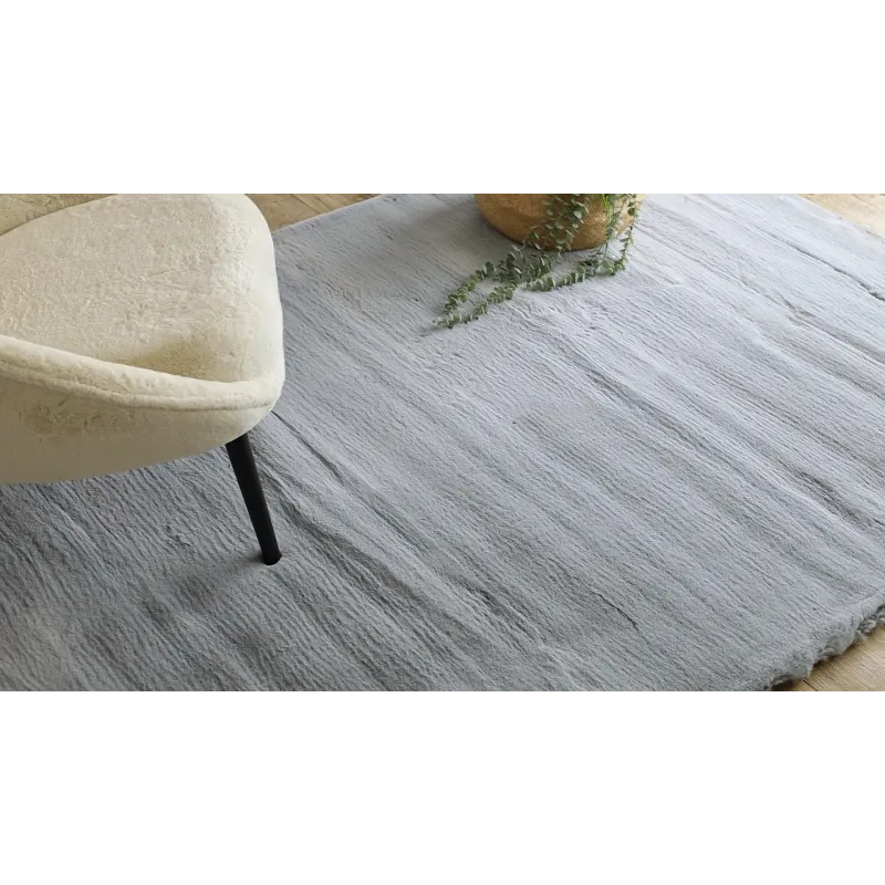 Tapis TEDDY NEW dream 47 argent, parfait pour le salon moderne