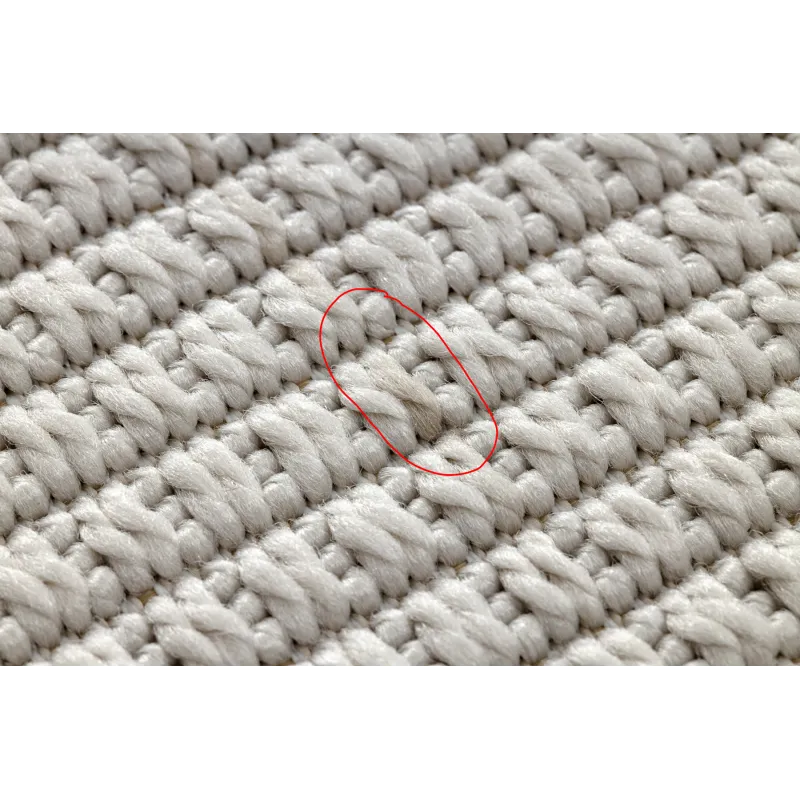 Tapis TIMO 5979 avec texture lisse, idéal pour le jardin