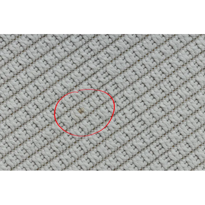 Tapis en sisal naturel TIMO 5979, résistant aux intempéries