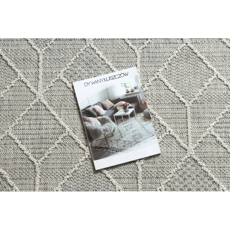 Tapis JERSEY 19231 gris - style moderne, parfait pour tous les intérieurs