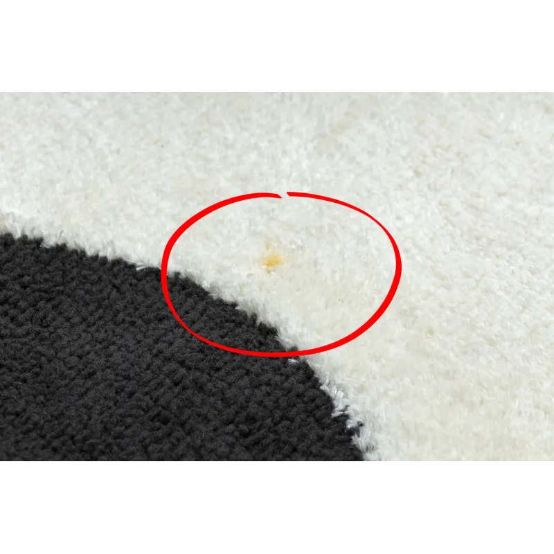 Tapis élégant qui ajoute du caractère à votre intérieur