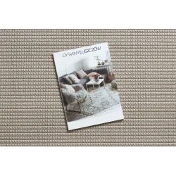 Tapis blanc TIMO 5979 en sisal pour extérieur, élégant et durable