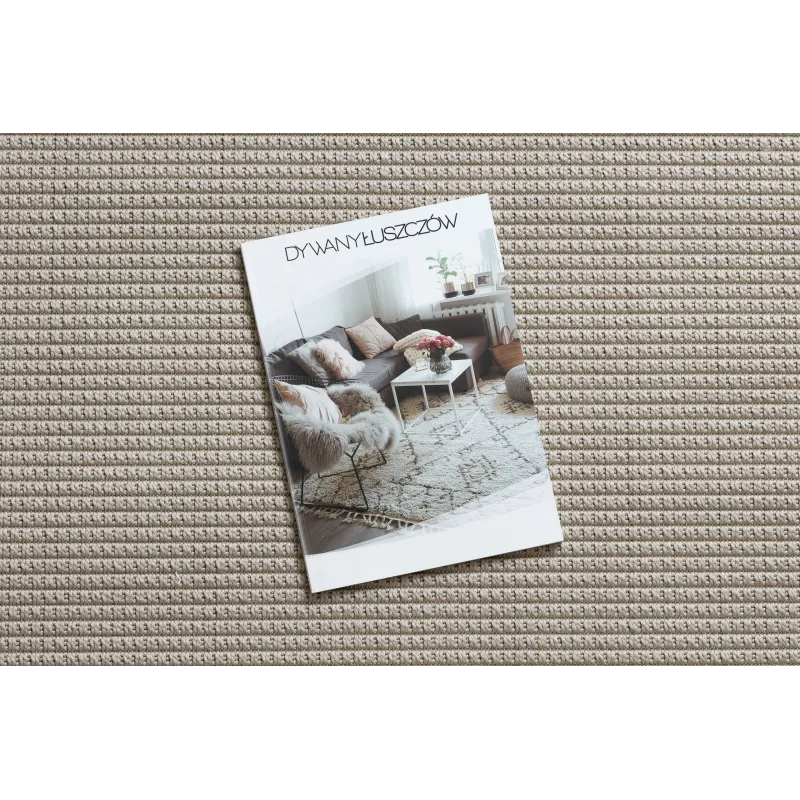 Tapis blanc TIMO 5979 en sisal pour extérieur, élégant et durable