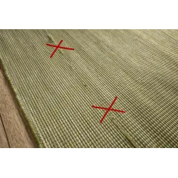 Tapis SIZAL PATIO 2778 vert, parfait pour des intérieurs modernes