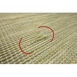 Tapis SIZAL PATIO 2778 vert, parfait pour le salon ou la chambre
