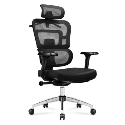 Mark Adler Expert 4.9 Noir Fauteuil Ergonomique de Bureau