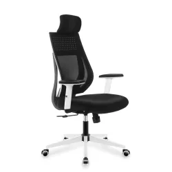 Manager 3.9 Noir Fauteuil de Bureau Ergonomique