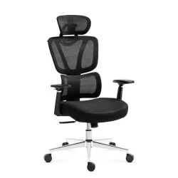 Chaise Gaming Ergonomique Expert 4.6 Noir