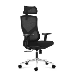 Manager 3.3 Noir Fauteuil de Bureau Ergonomique