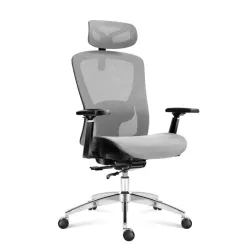 Expert 5.3 Gris Mesh Chaise Gaming Ergonomique