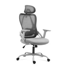 Fauteuil de bureau ergonomique Manager 2.9 Gris