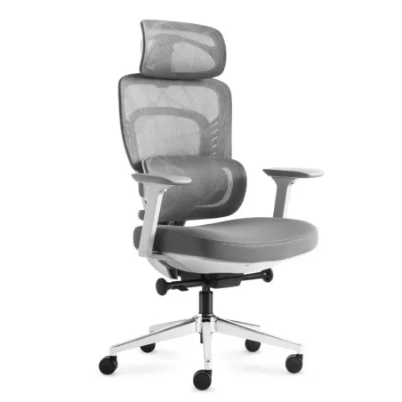 Visioner 6.1 Gris Fauteuil de bureau avec massage, design ergonomique, Chaises de Bureau