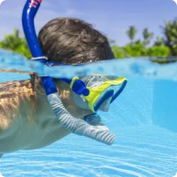 Ensemble de plongée élégant bleu marine-gris, parfait pour le snorkeling