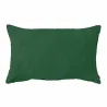 Vert foncé