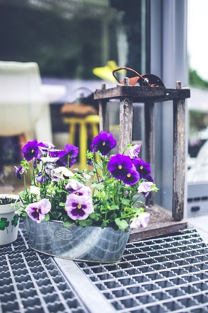 style scandinave